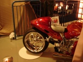 DSC09435 (Custom).JPG